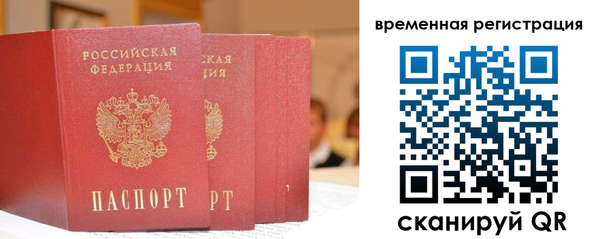 прописка законно в Королёве